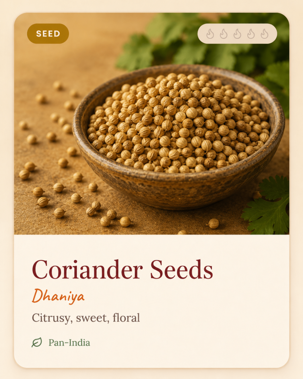 Coriander Seeds
